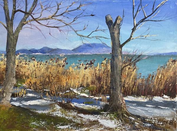 Téli Balaton (30x40 cm)<br/>Olaj, vászon<br/>A kép: 40 000 Ft<br/><br/><button onclick='sendEmail()' style='background-color: #333; color: white; border: none; padding: 10px 20px; text-align: center; text-decoration: none; display: inline-block; font-size: 16px; margin: 4px 2px; cursor: pointer;'>Kapcsolatfelvétel</button>